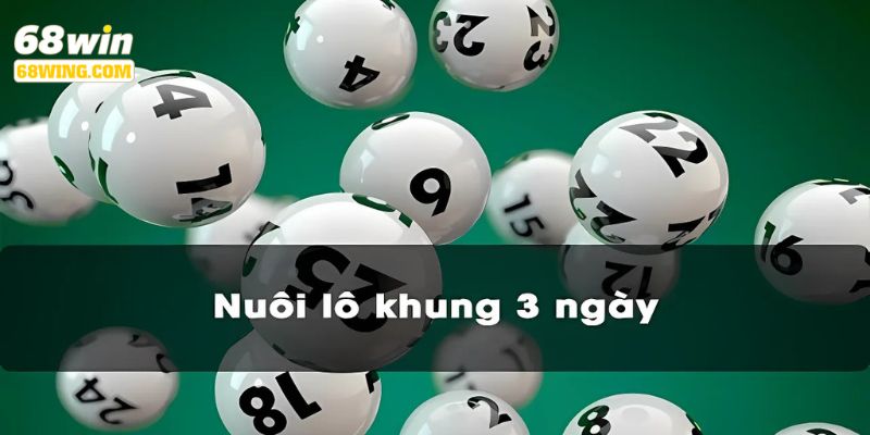 Tìm hiểu hình thức nuôi lô khung tại sảnh